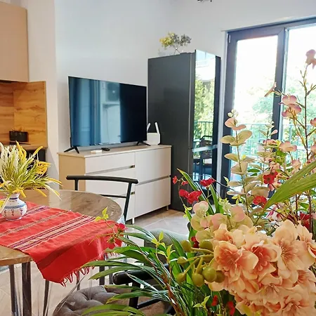 Daire Mimoza's Apartment- In The Center Near The Pyramid
